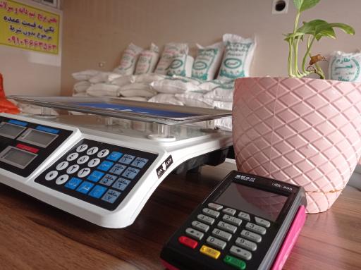 عکس پخش برنج بابایی