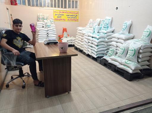 عکس پخش برنج بابایی