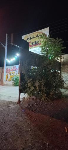 عکس پیتزا و ساندویچ تک