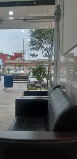 عکس سینا ملک 