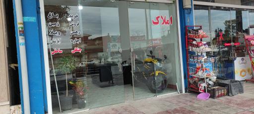 عکس سینا ملک 