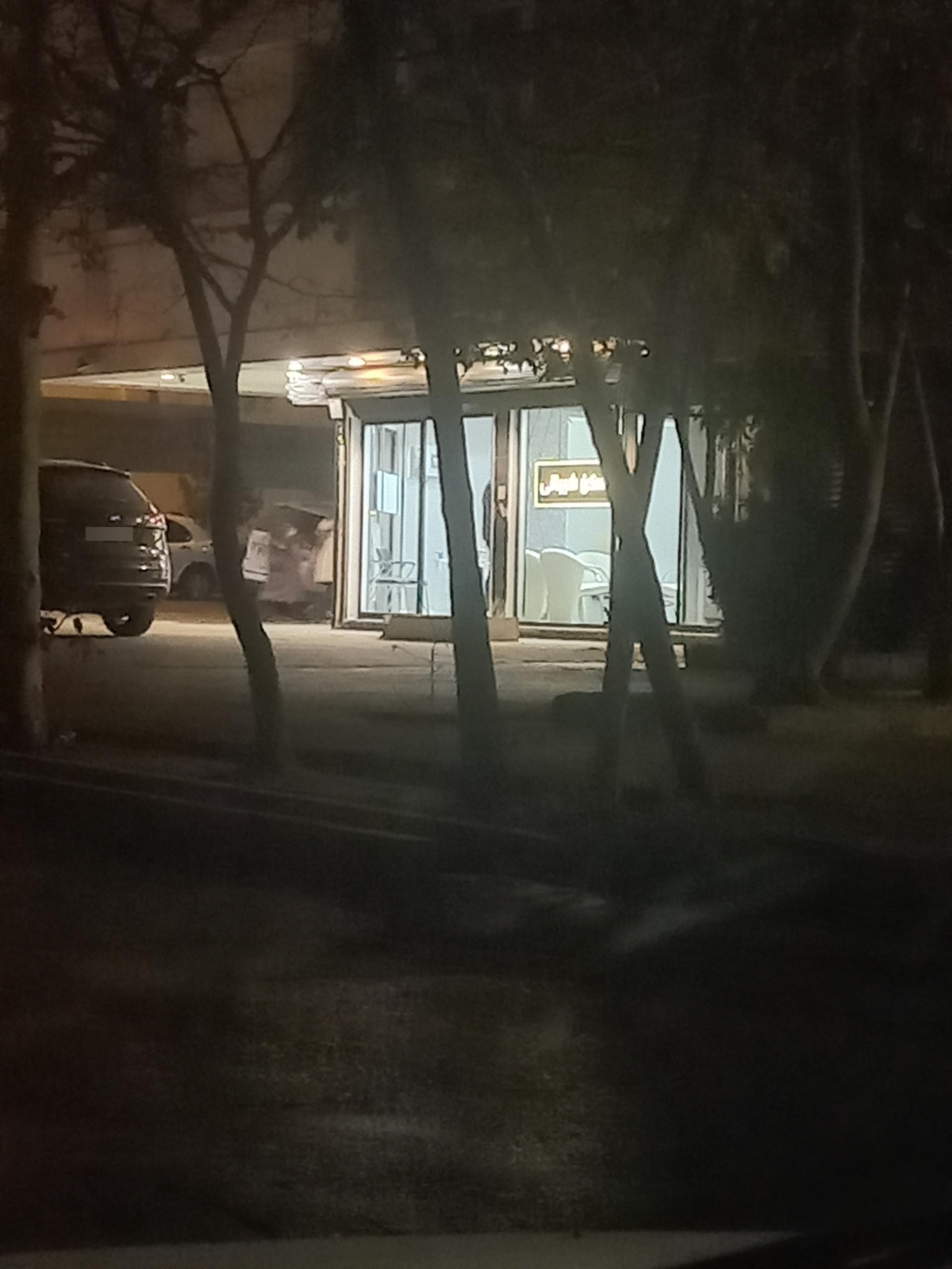 عکس مسکن شیبانی