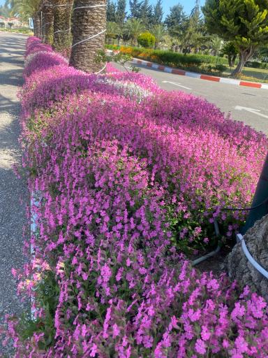 عکس مجتمع فرهنگی آموزشی و تفریحی وزارت امور خارجه 