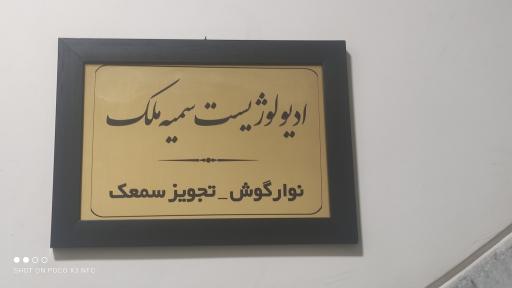 عکس شنوایی سنجی و تجویز سمعک ثمین