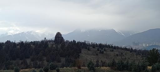 عکس بوستان جنگلی یاس شرقی (لویزان شرقی)