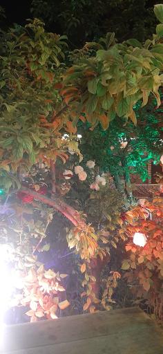 عکس اقامتگاه سنتی سرای جواهر