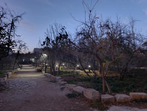 عکس باغ خانواده جماران