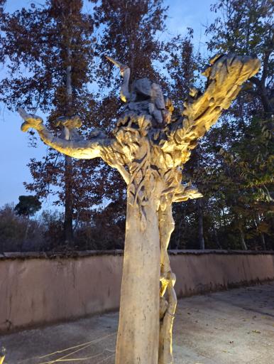 عکس باغ خانواده جماران