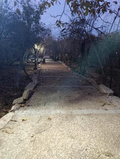 عکس باغ خانواده جماران