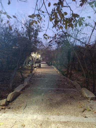 عکس باغ خانواده جماران