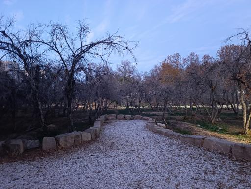 عکس باغ خانواده جماران