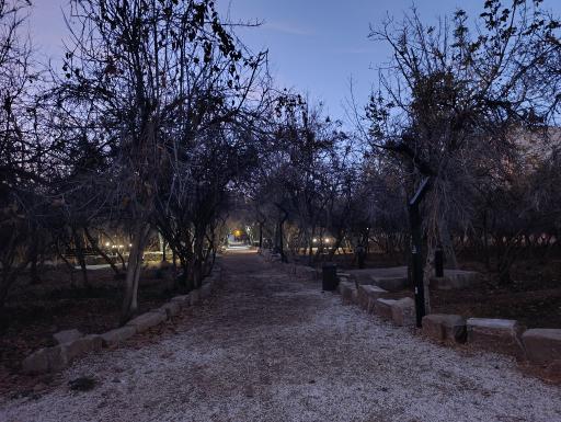 عکس باغ خانواده جماران