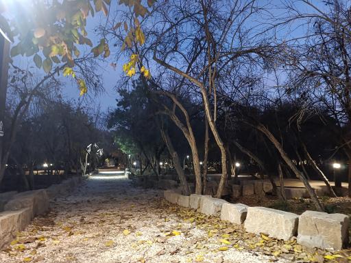 عکس باغ خانواده جماران