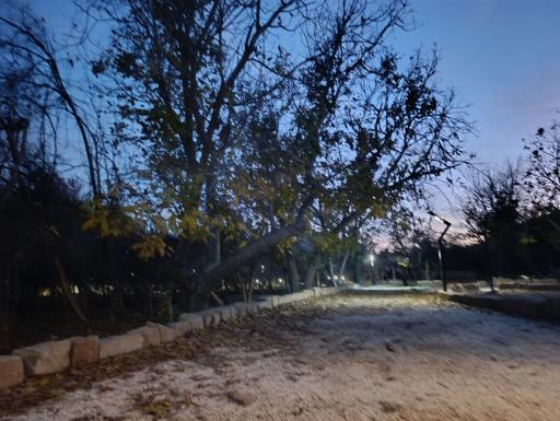 عکس باغ خانواده جماران