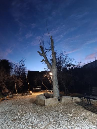 عکس باغ خانواده جماران