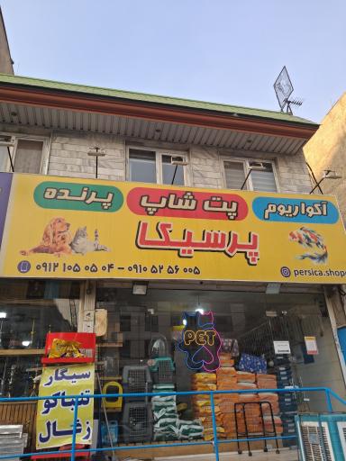 عکس پت شاپ پرسیکا