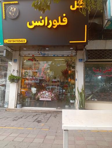 عکس گل فلورانس