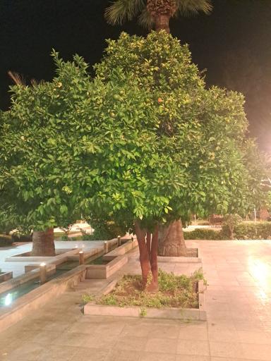 عکس هتل هما شیراز