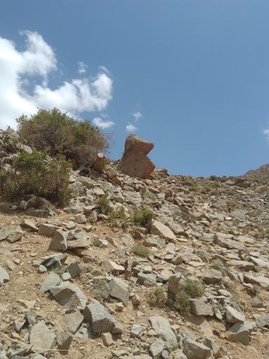 عکس پارک سردار شهید خاکسار (تربت)