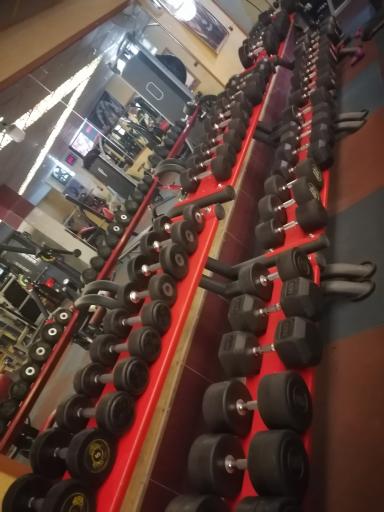 عکس باشگاه بدنسازی کامیاب