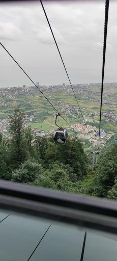 عکس جنگل‌های نمک آبرود