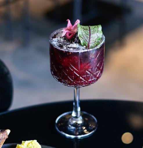 عکس رستوران مضراب