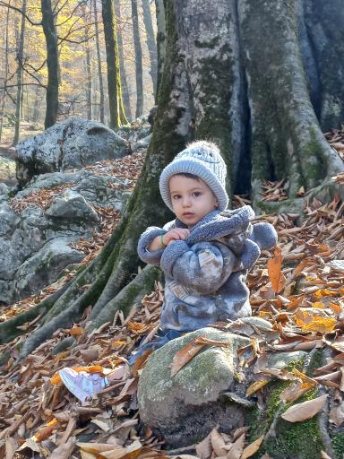 عکس جنگل‌های نمک آبرود