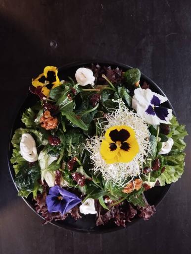 عکس رستوران مضراب