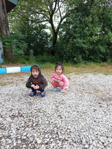 عکس جنگل‌های نمک آبرود