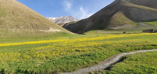 عکس دشت لار