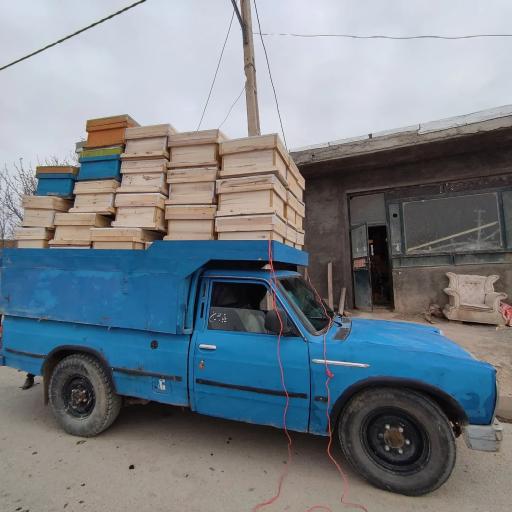 نجاری و کندوسازی برادران دین محمدی
