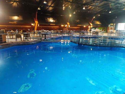 عکس رستوران مضراب