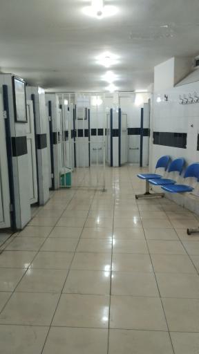 سرویس بهداشتی