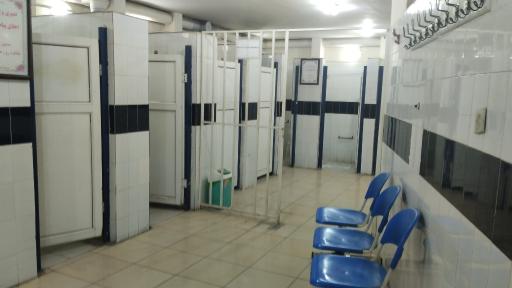 سرویس بهداشتی