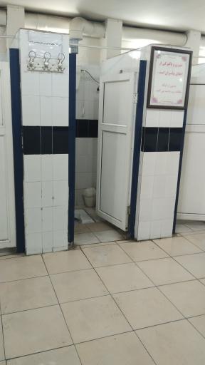 سرویس بهداشتی