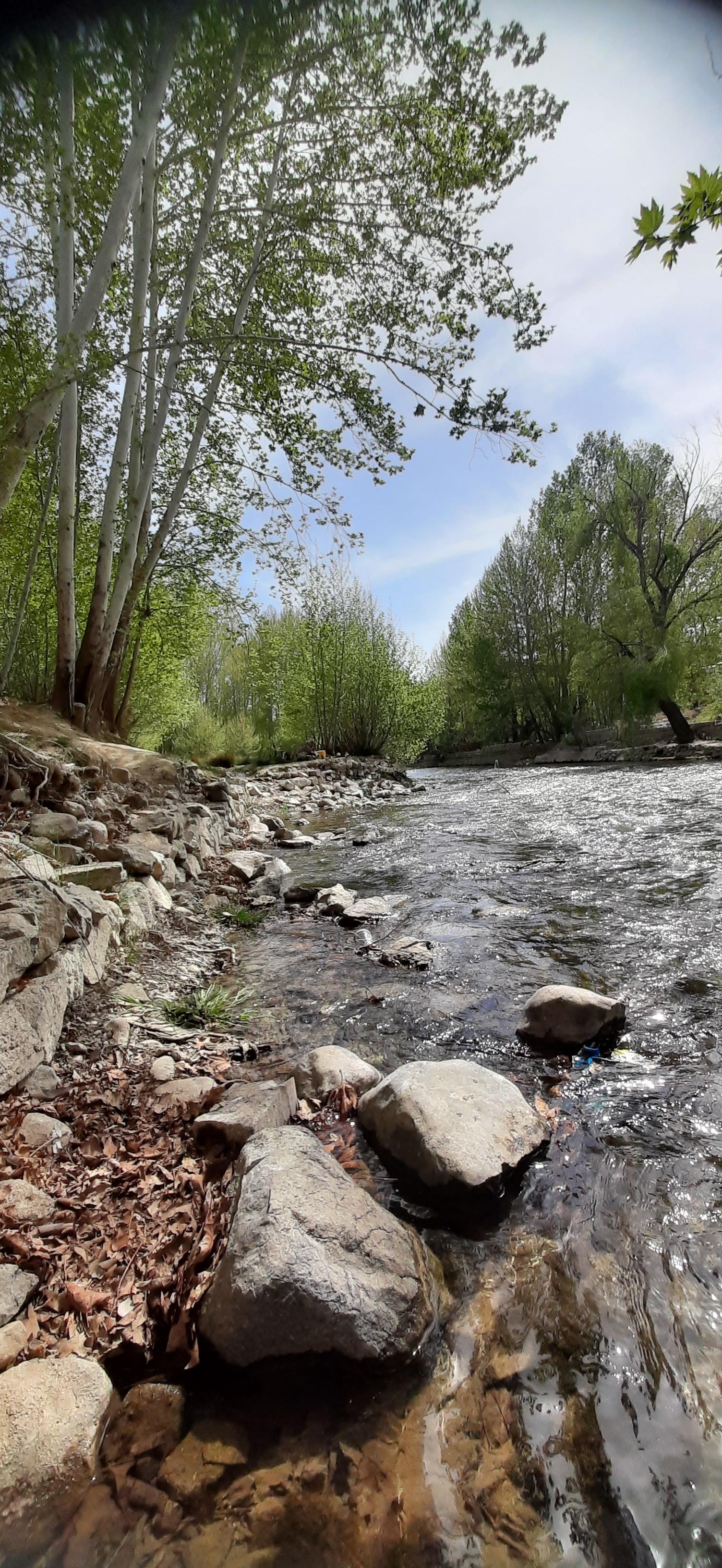 عکس پارک جنگلی باغبهادران 