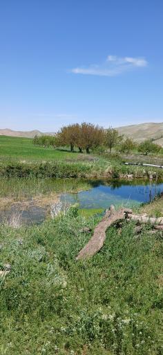 عکس زنجان