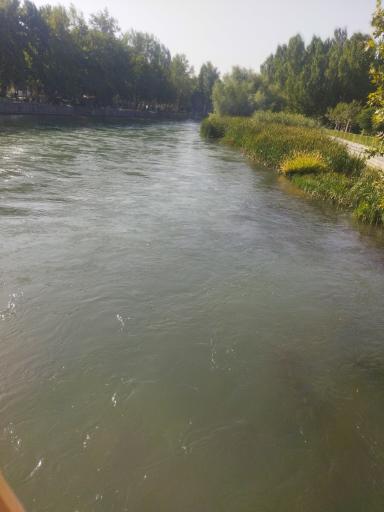عکس پارک جنگلی باغبهادران 