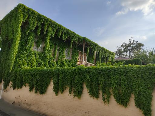 عکس خانه تاریخی داروئی ها