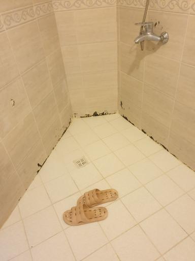 عکس خانه مسافر ساوا