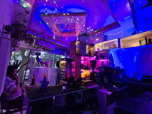 عکس کافه قهوه هامون