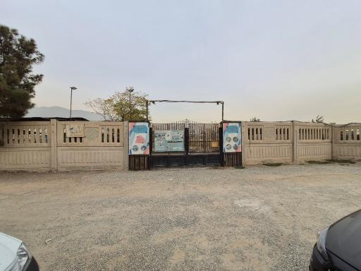 عکس دهکده مهربانی سگ های چیتگر