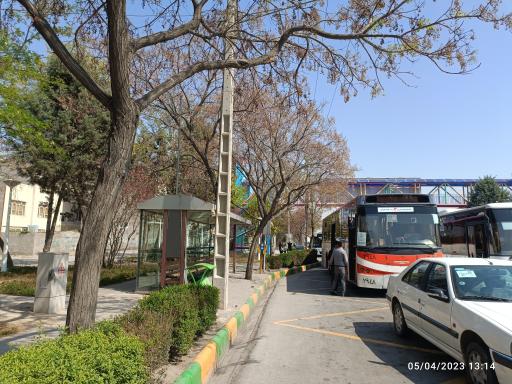 عکس  پایانه میامی