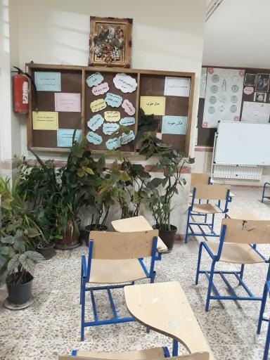 عکس هنرستان دخترانه علویه