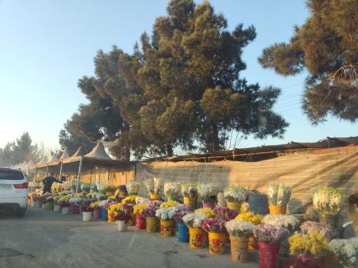 عکس بازار گل فروشان