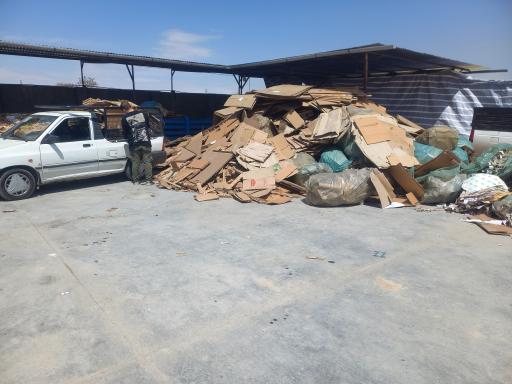 عکس کارتن قنبری