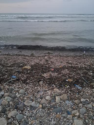 عکس ساحل چالوس