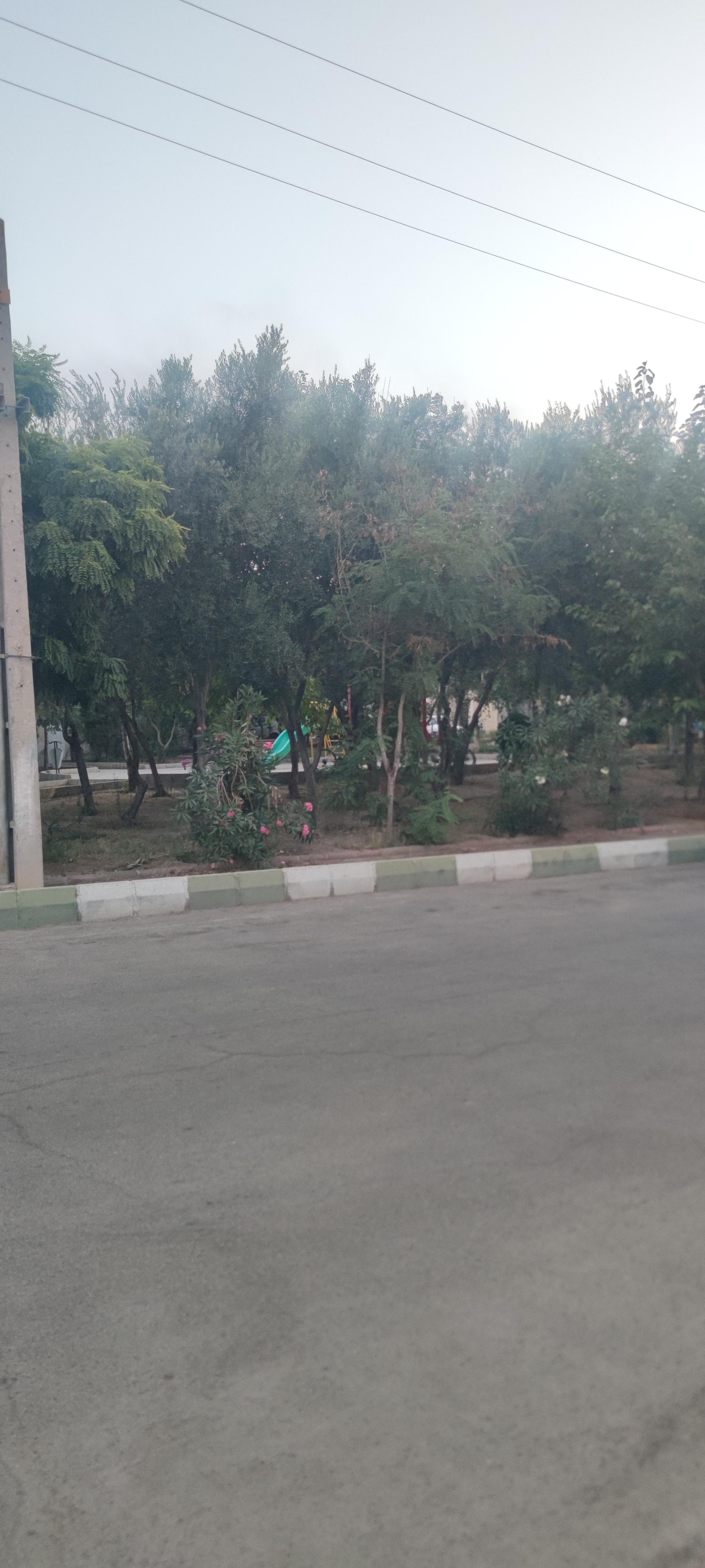 عکس پارک یاسمن