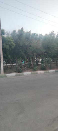 پارک یاسمن
