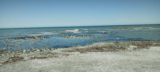 عکس ساحل چالوس